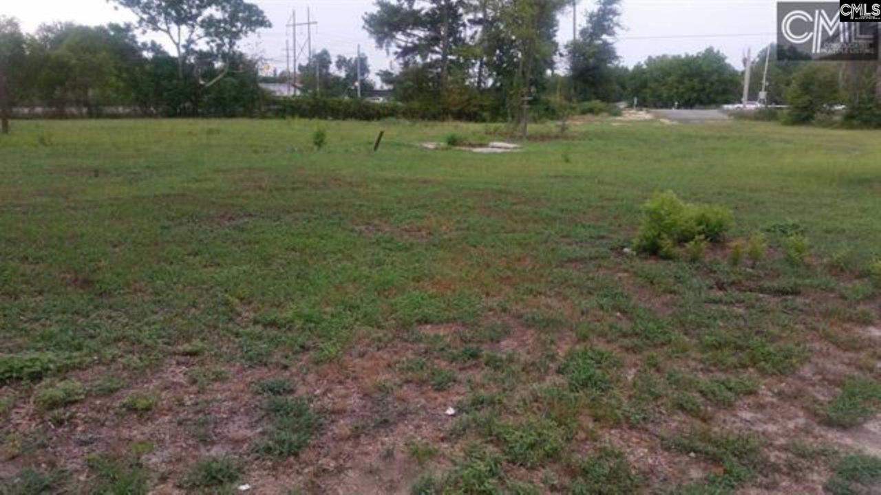 1903 Platt Springs Road - Photo 1