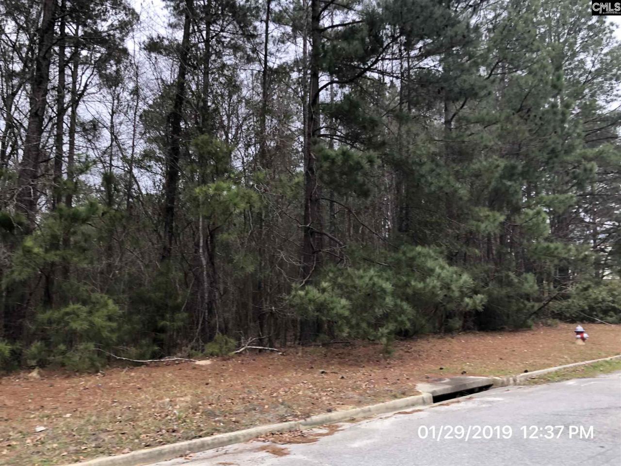 Northpoint Boulevard - Photo 1