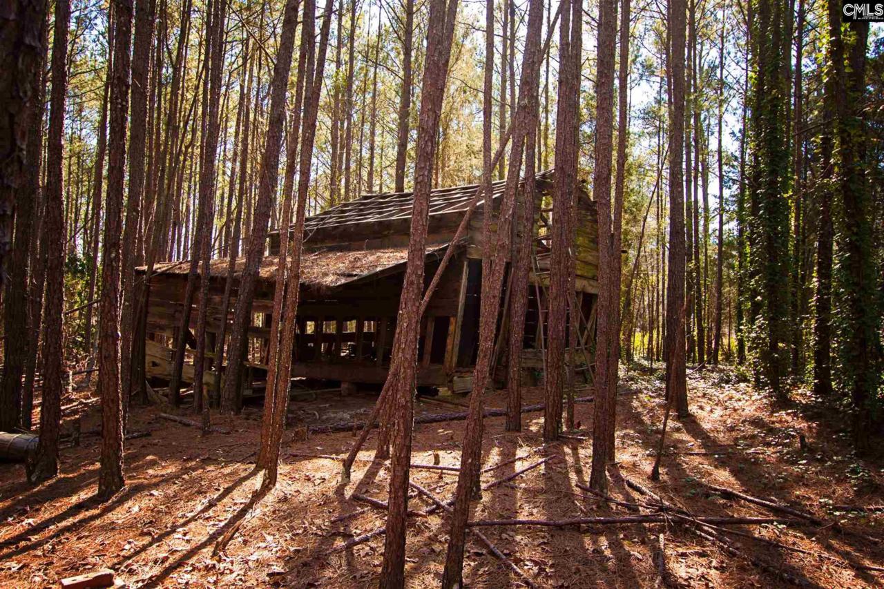 677 Ross Road - Photo 1