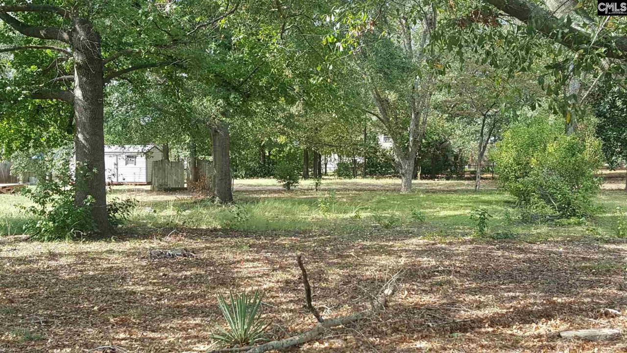 1323 Means Ave - Photo 1