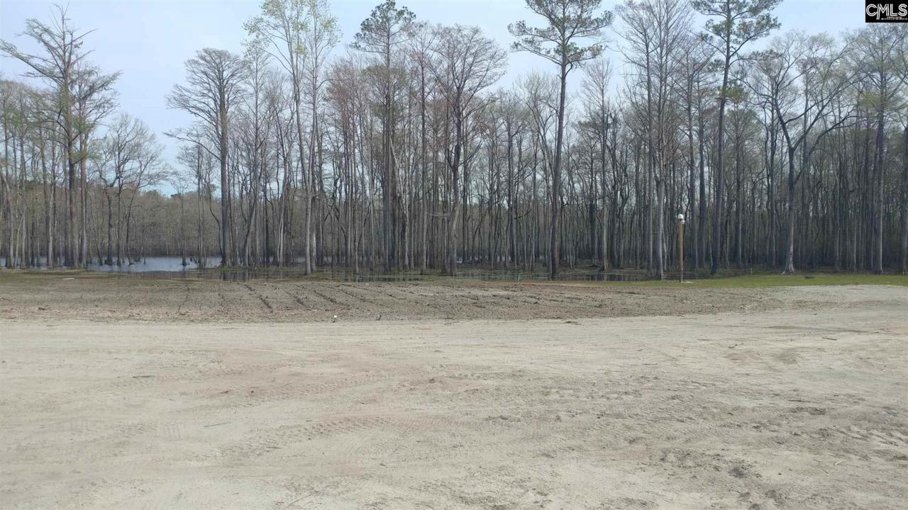 Tract 3 Bauer Plantation - Photo 1
