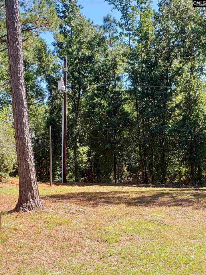 125 Leila Lane - Photo 1