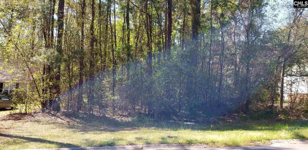 1253 Killian Loop - Photo 1