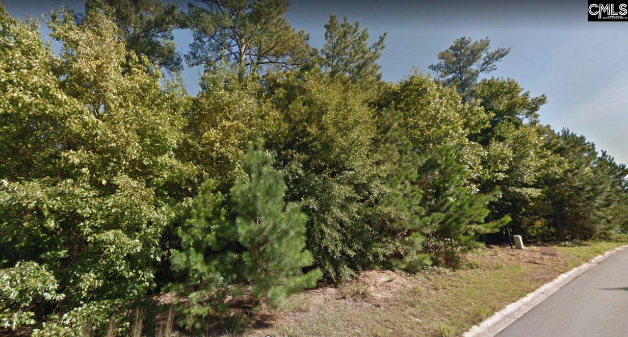 326 Carola Ln - Photo 1
