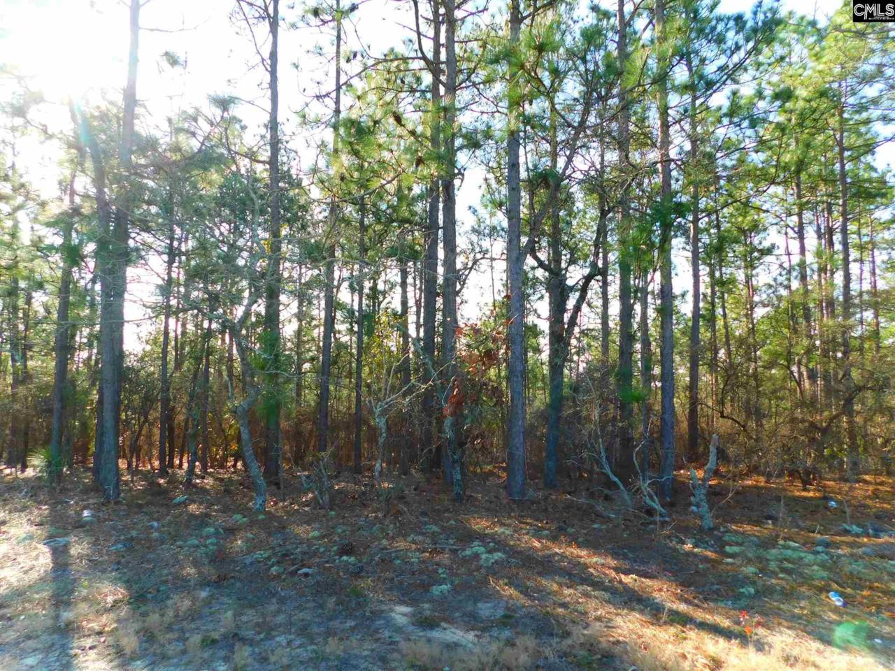 2411 Pond Branch Road - Photo 1