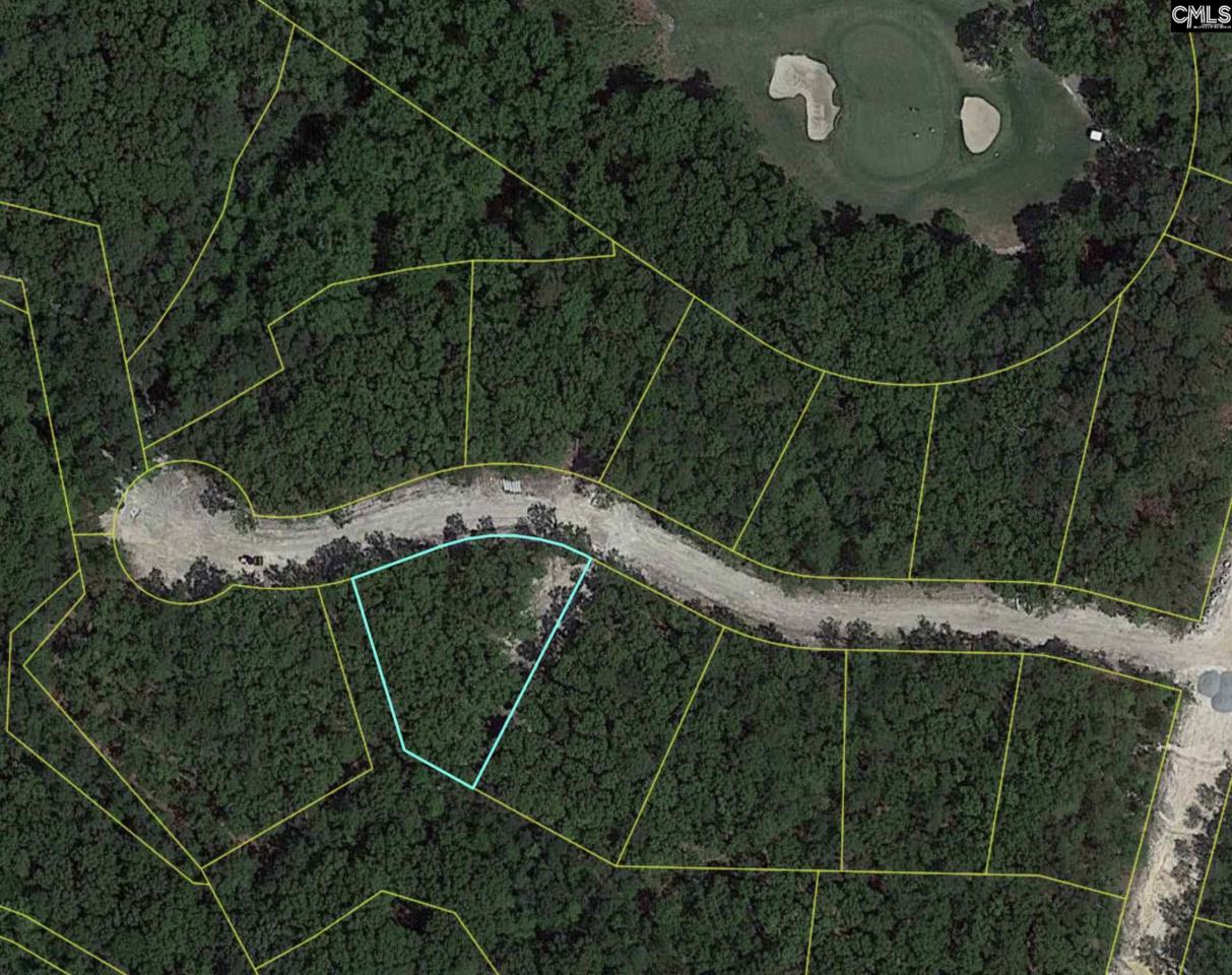 231 Arrowleaf Ln (Lot 9) - Photo 1