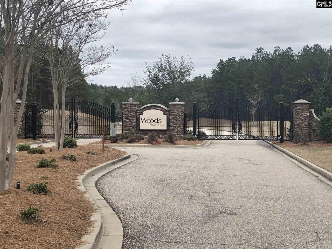 Lot 48 Big Water View - Photo 1
