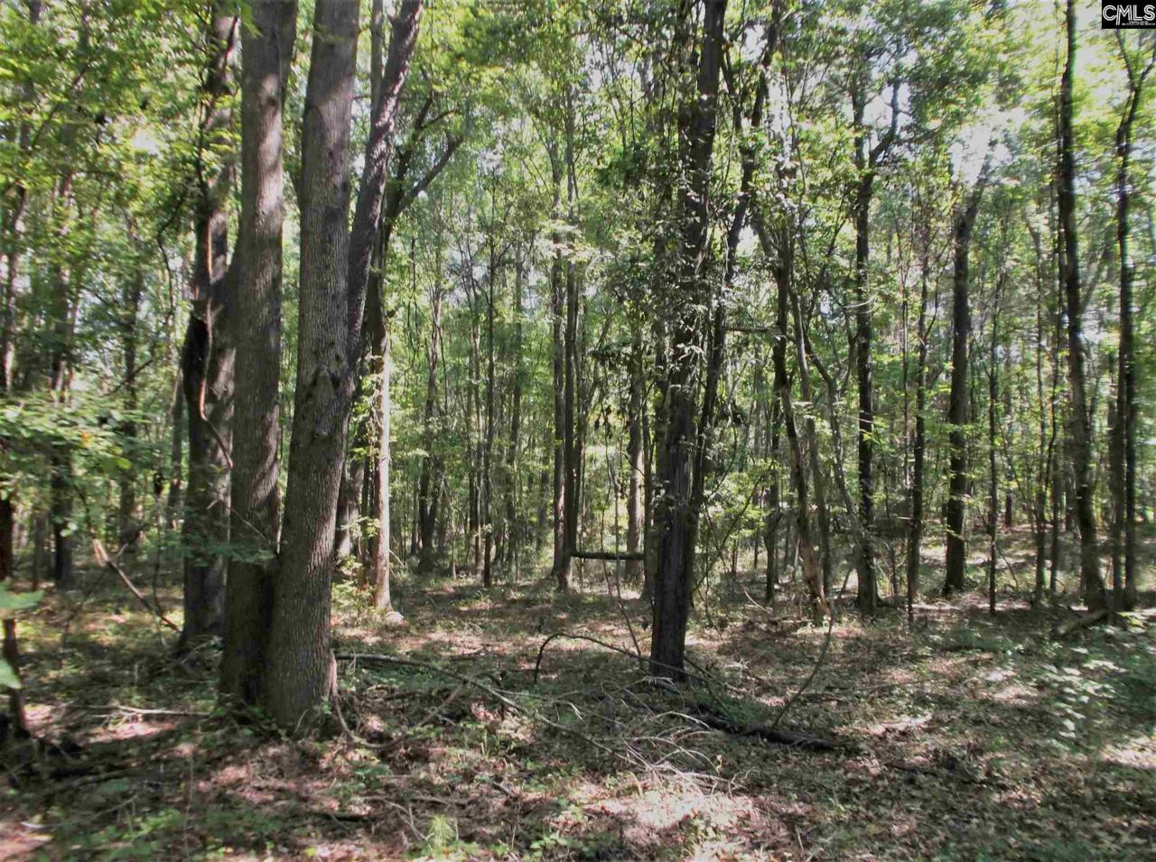102 Everwood Lane - Photo 1