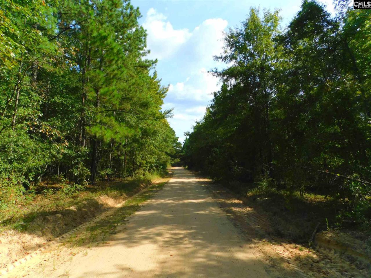 0 Hallman Wagon Road - Photo 1