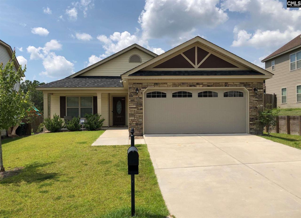 283 Emanuel Creek Drive - Photo 1