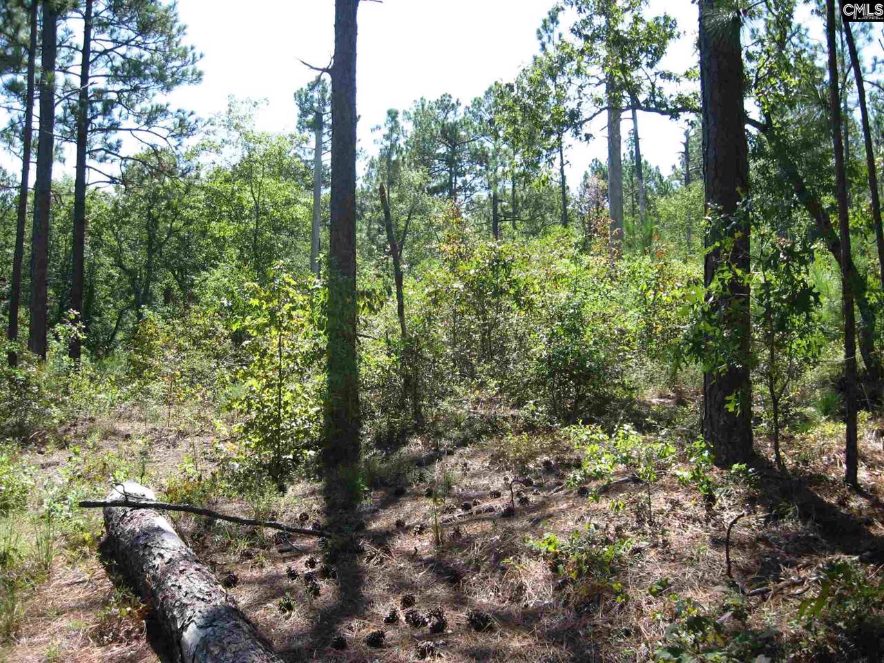 695 Crystal Springs Drive - Photo 1