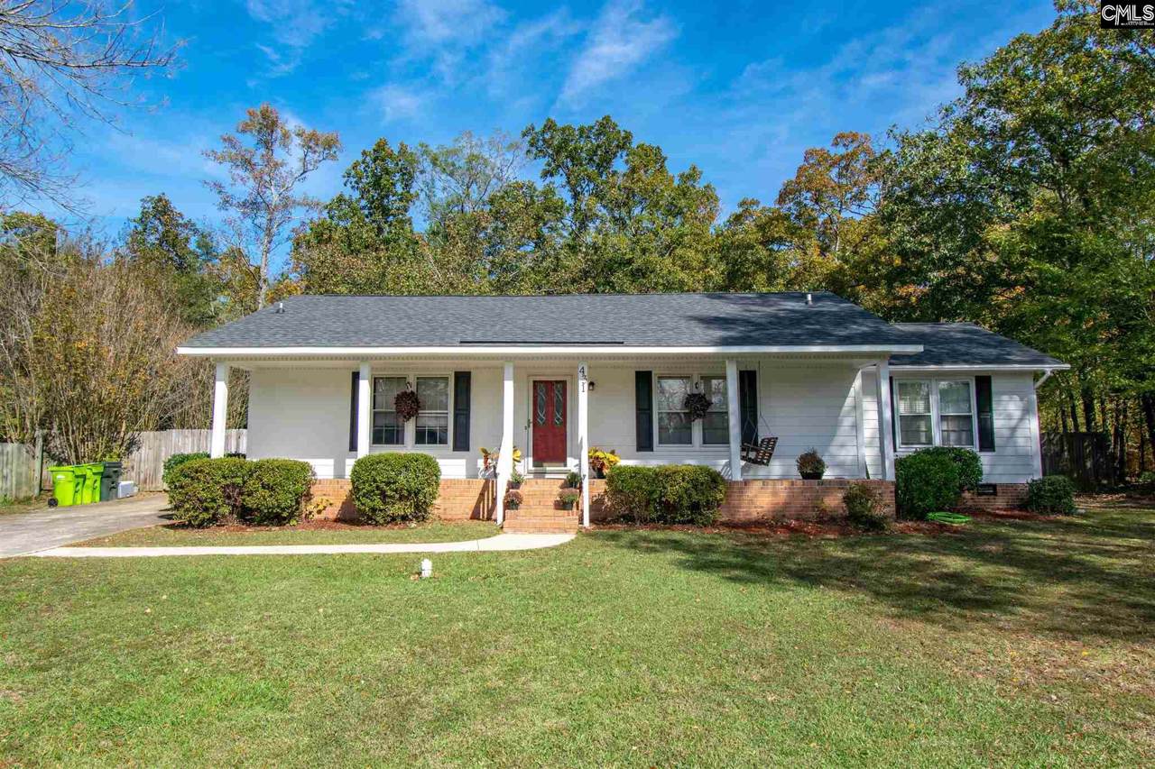 431 Serpentine Road - Photo 1
