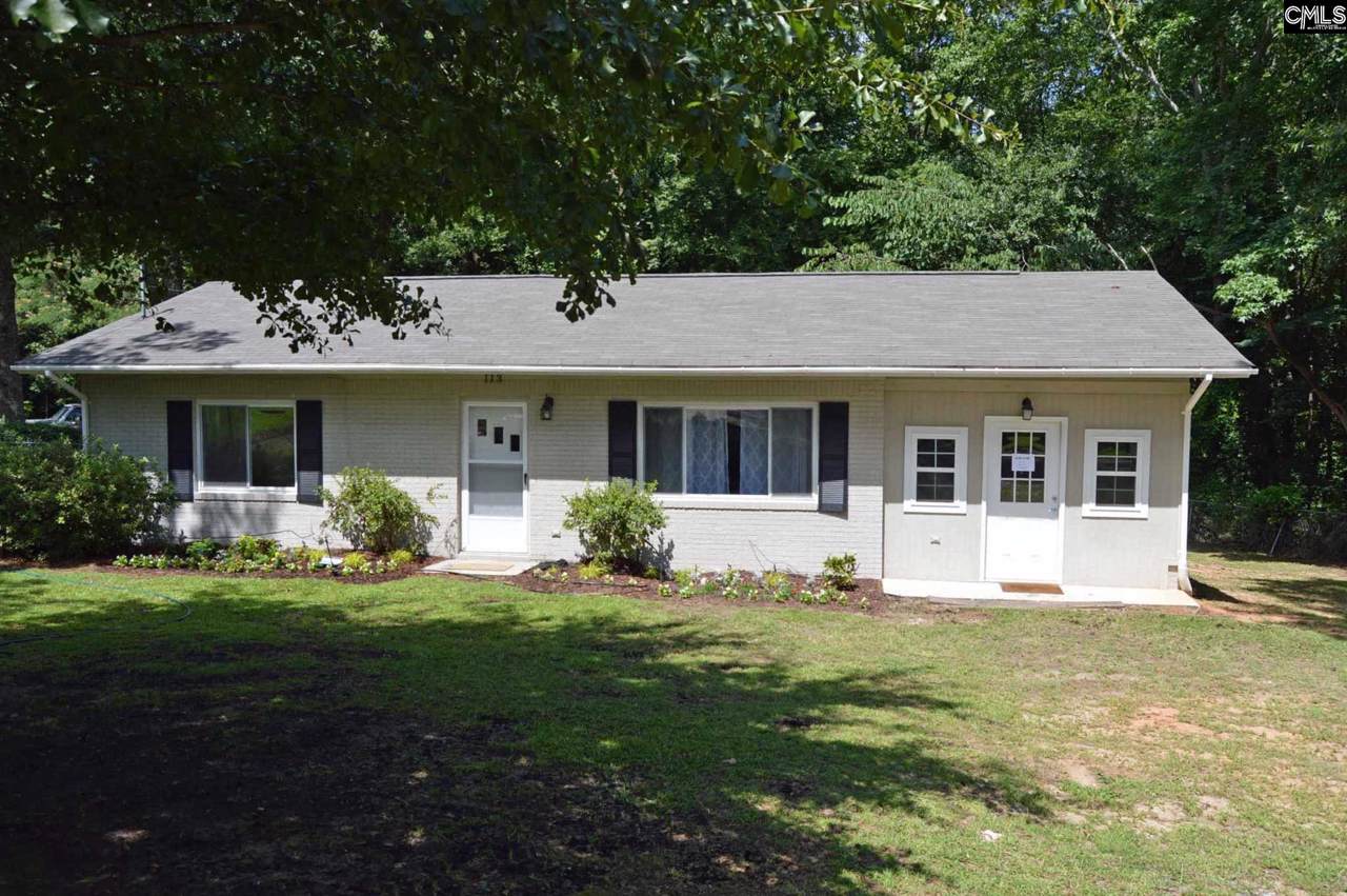 113 Williams Street - Photo 1
