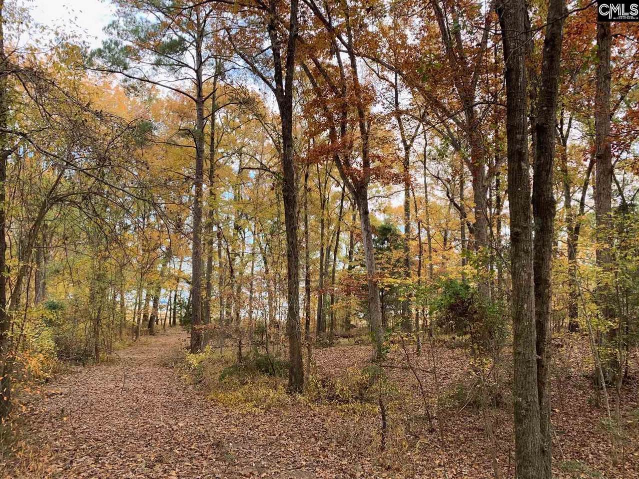 1605A Wateree Estates Road - Photo 1