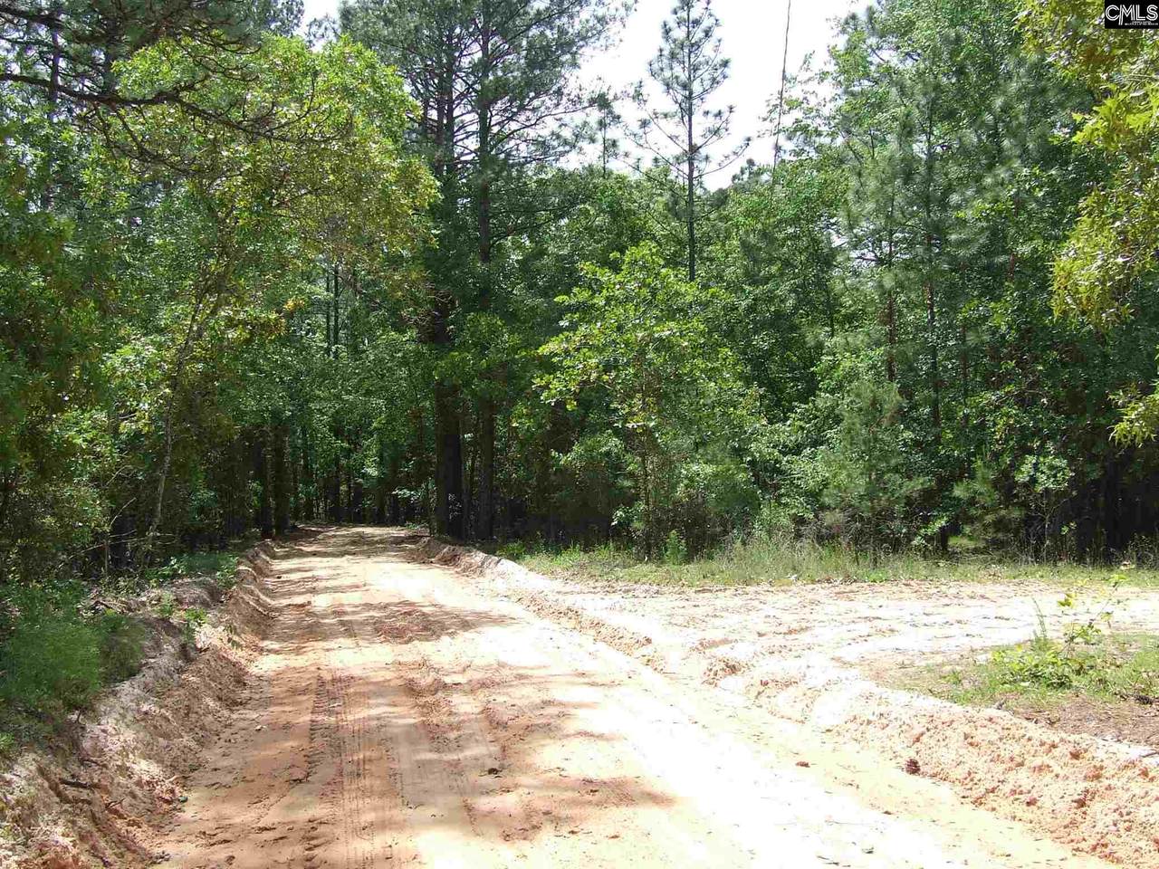 00 Ringo Road - Photo 1 00 Ringo Road - Photo 1