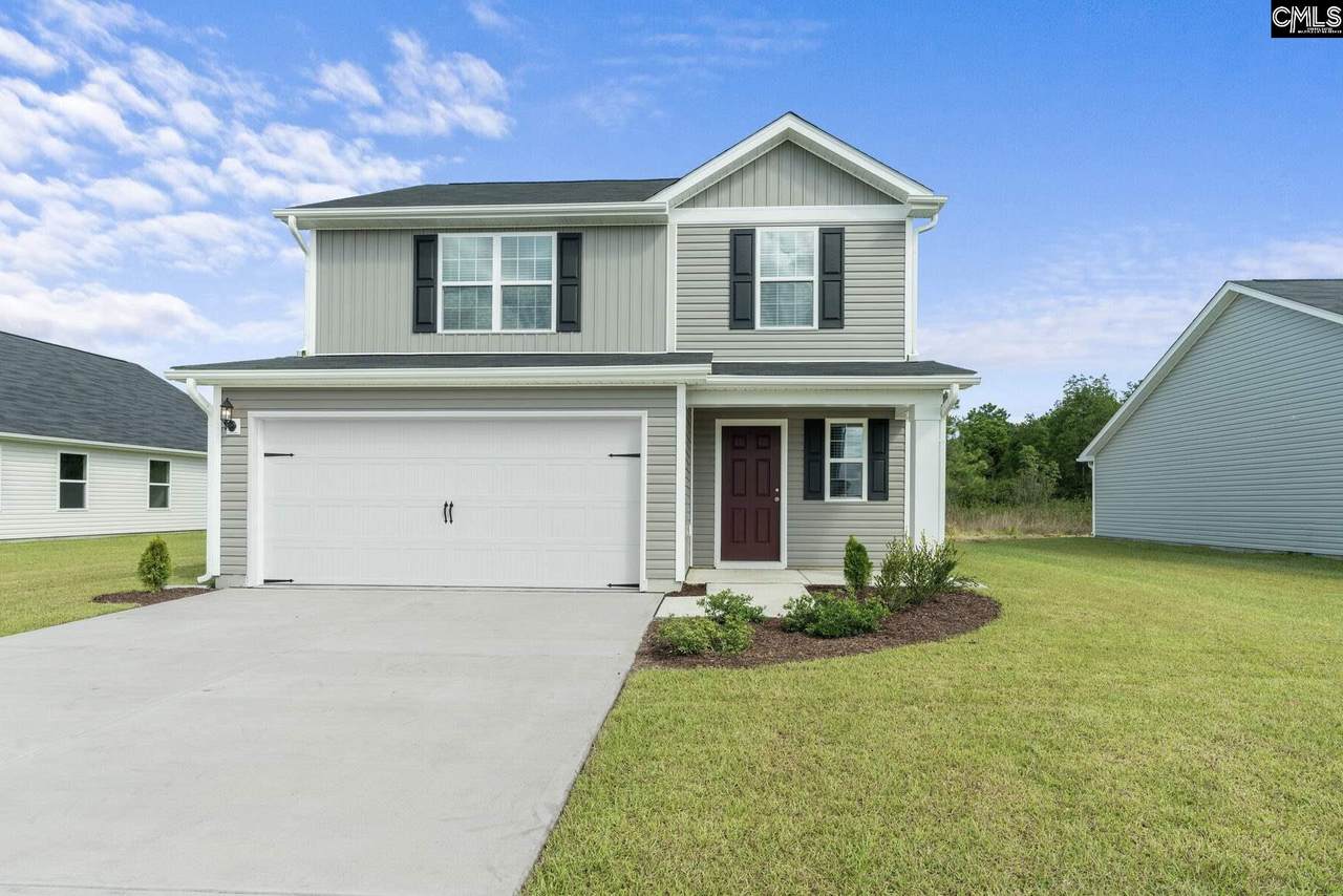 207 Common Reed Drive - Photo 1