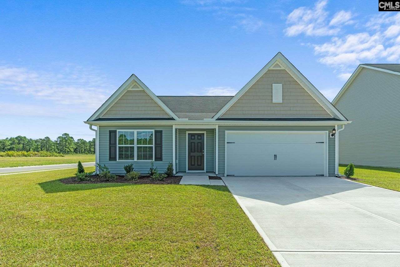 308 Common Reed Drive - Photo 1