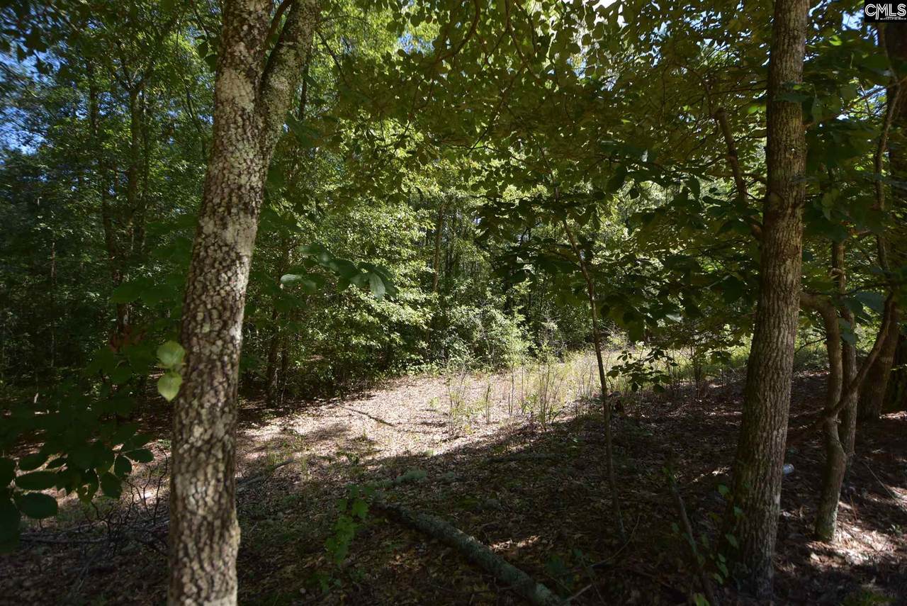 166 Jones Wire Road - Photo 1