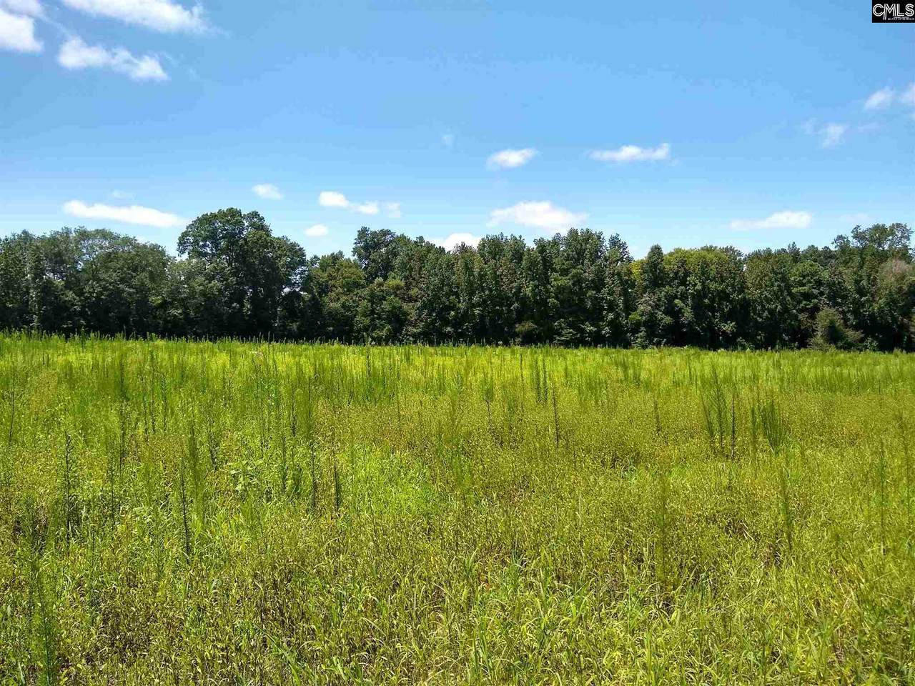 0 Chesterfield Highway - Photo 1