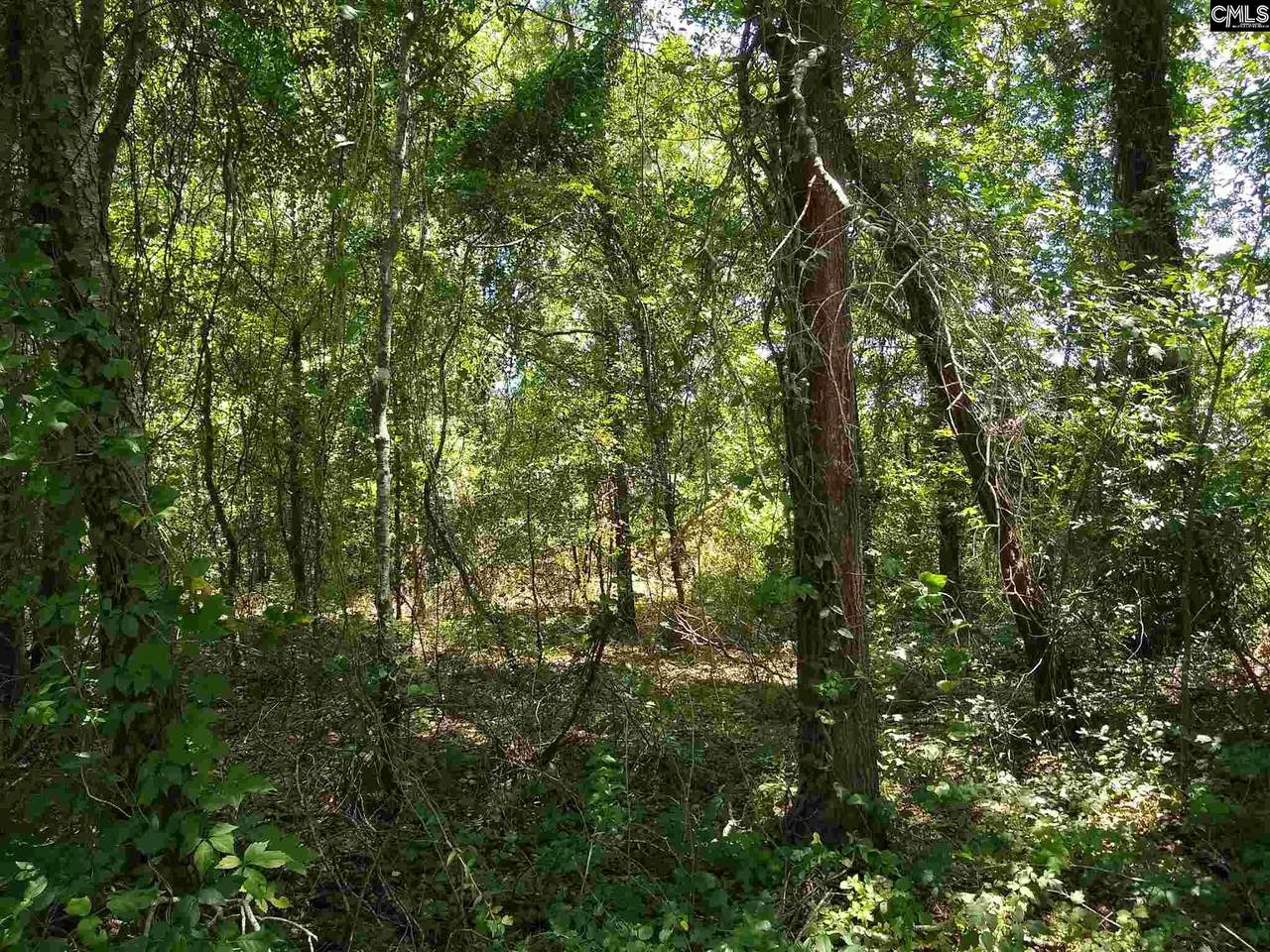 0 Clyde Ave - Photo 1