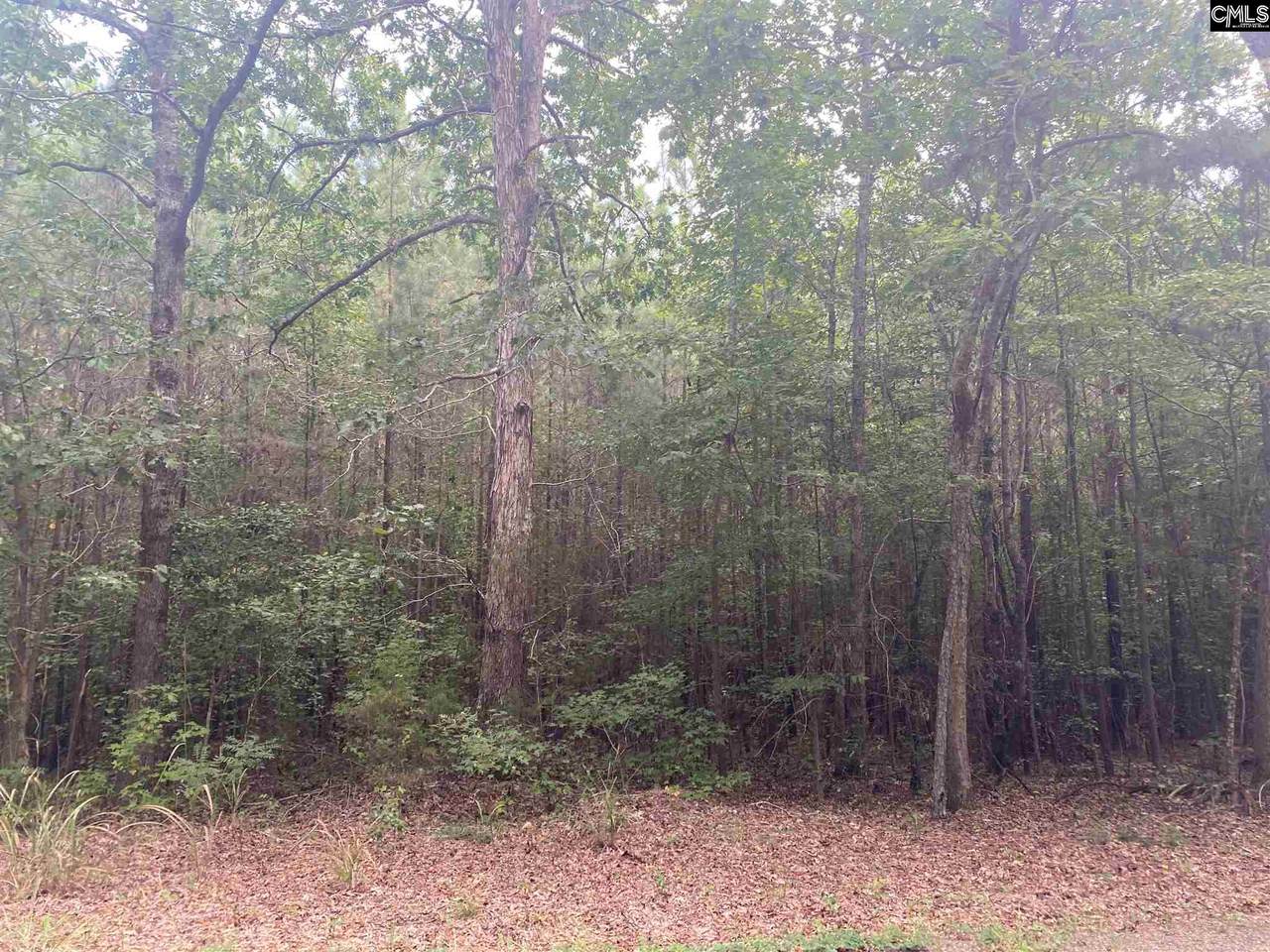 00 Kiblers Bridge Road Lot - Photo 1