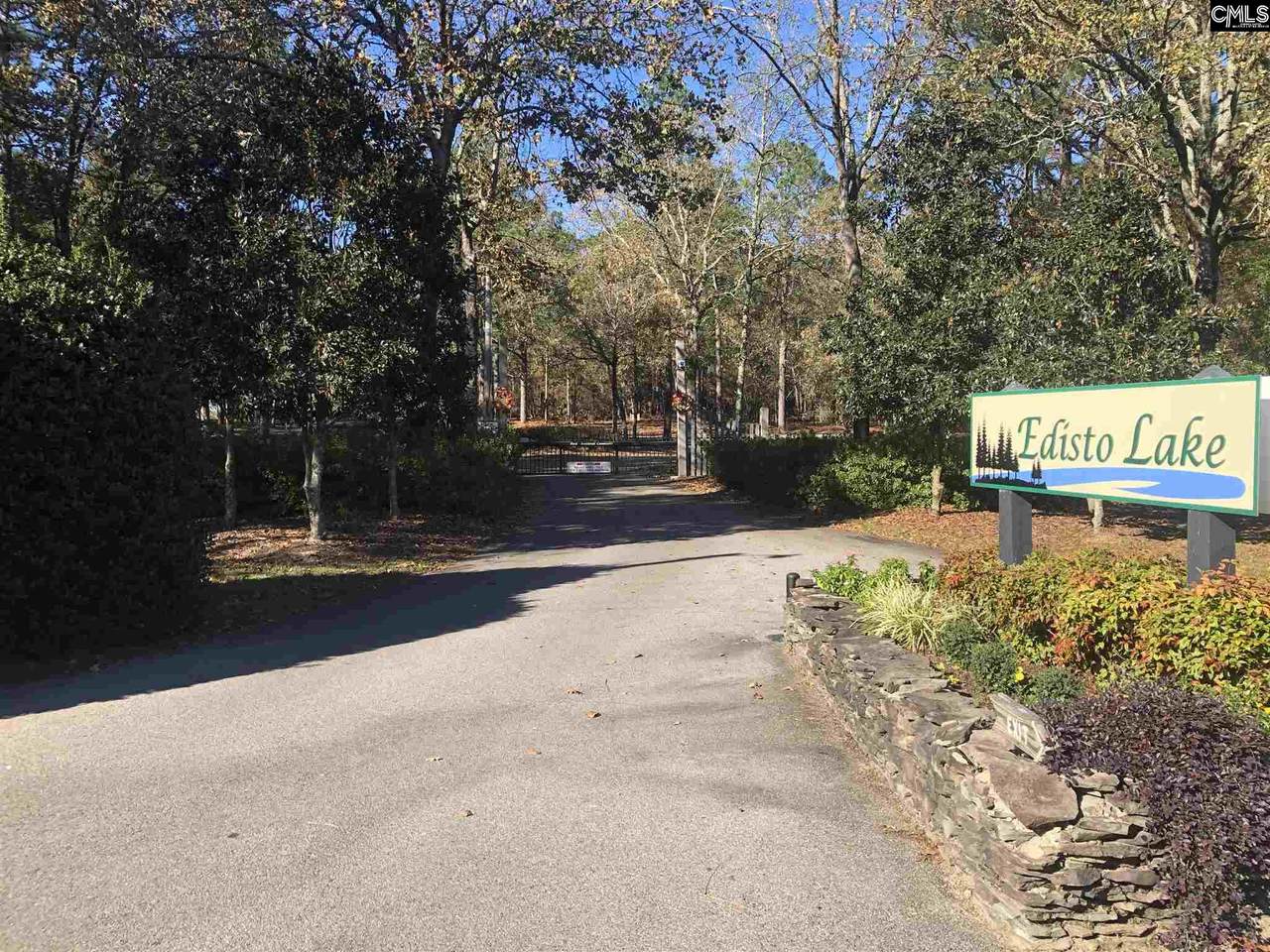 853 Edisto Lake Road - Photo 1