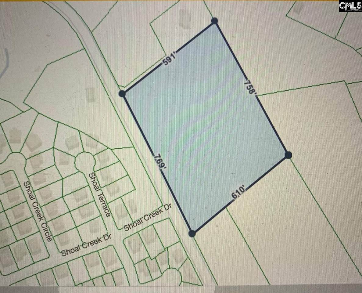 0 Mineral Springs Road - Photo 1