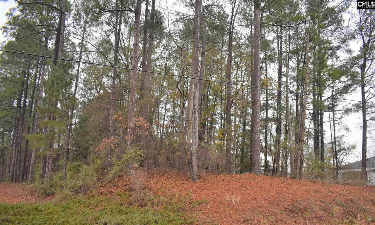 TBD Hunt Club Road - Photo 1