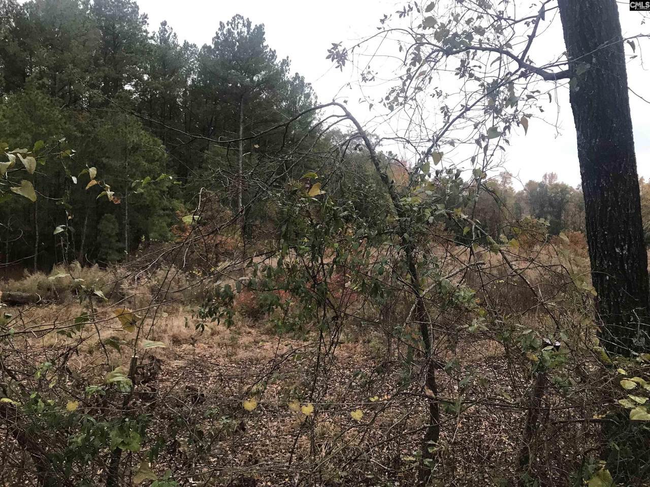 Sandy Pines Circle - Photo 1