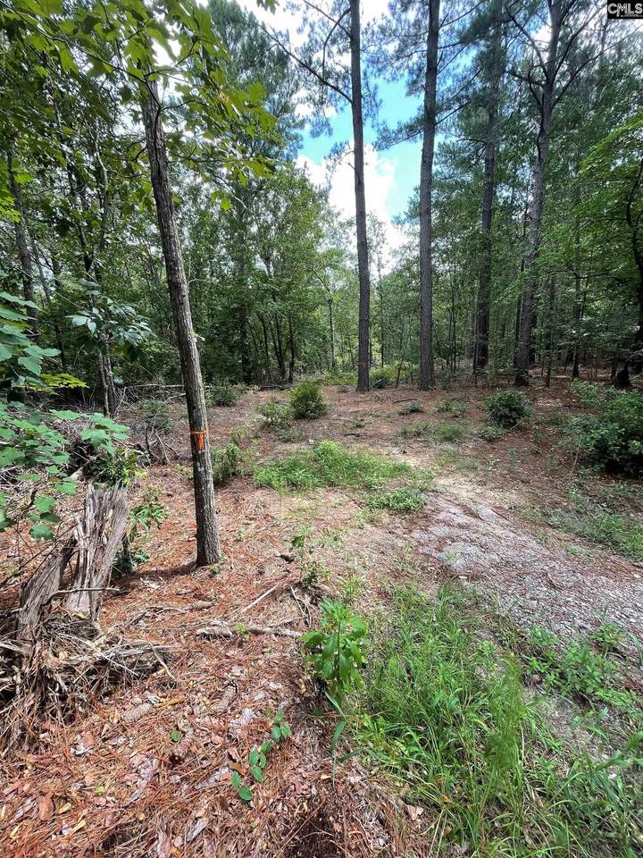 0 Water Tank Rd 55 - Photo 1