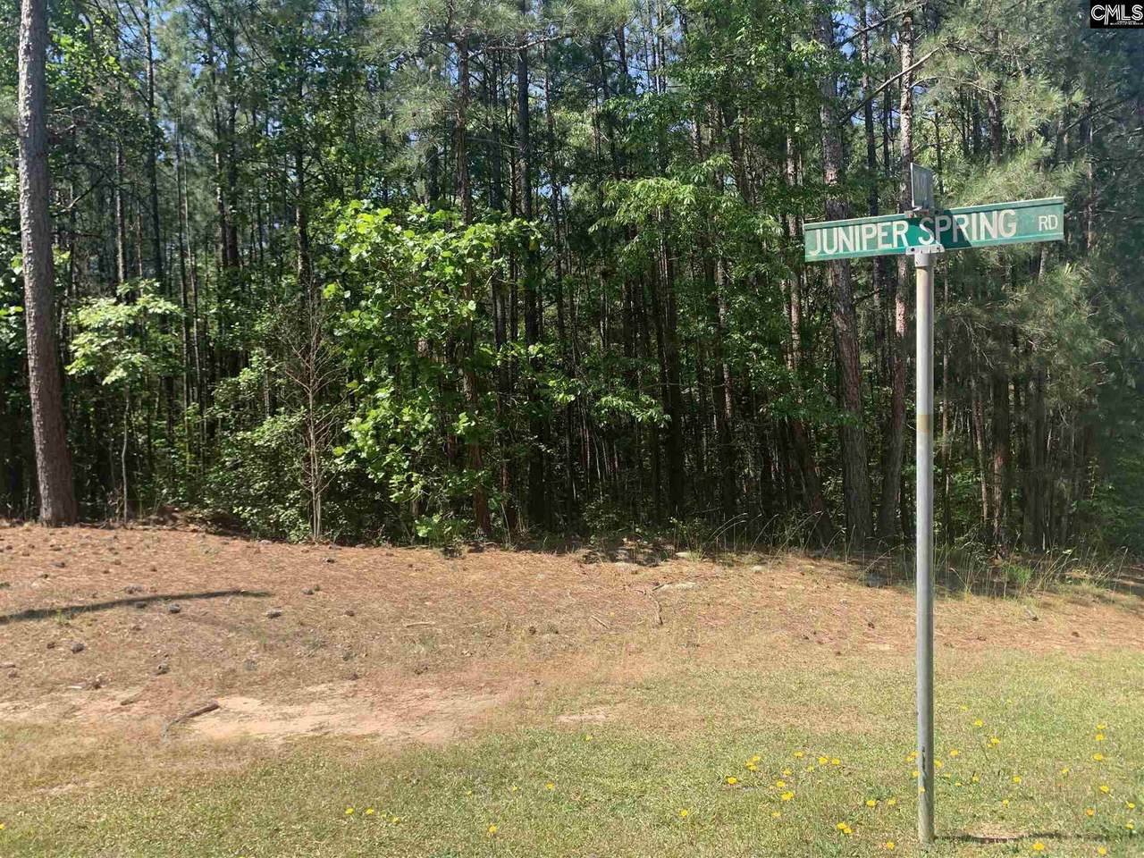 504 Juniper Springs Road - Photo 1