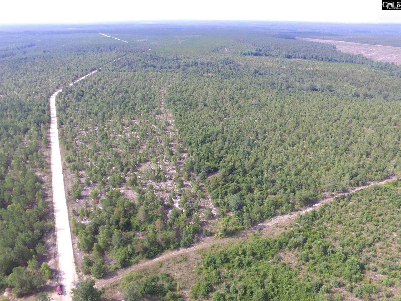 Beaver Dam Road - Photo 1