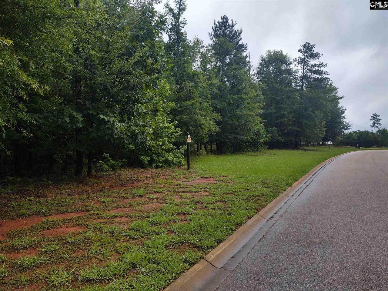 Lot 111 Big Water View - Photo 1