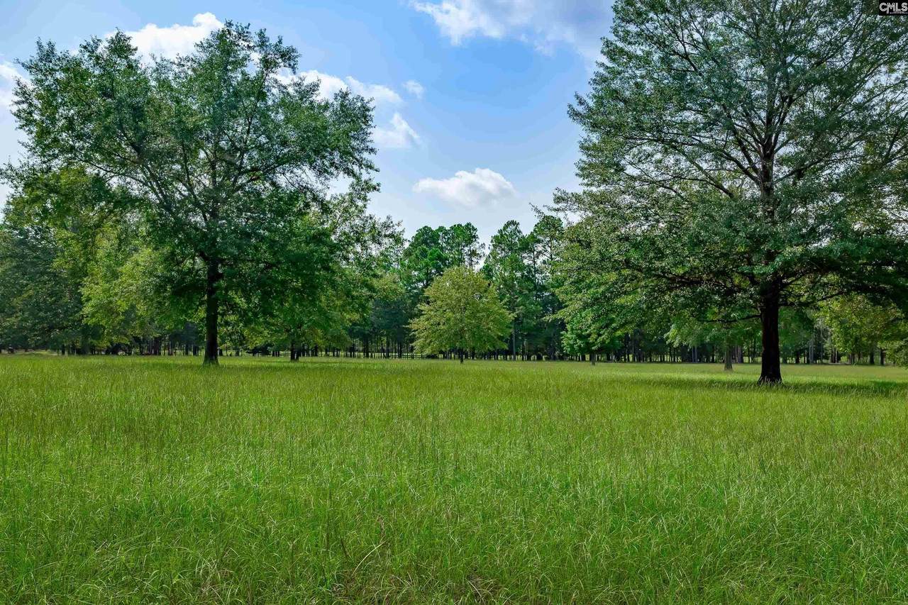 212 Peck Woods Road - Photo 1