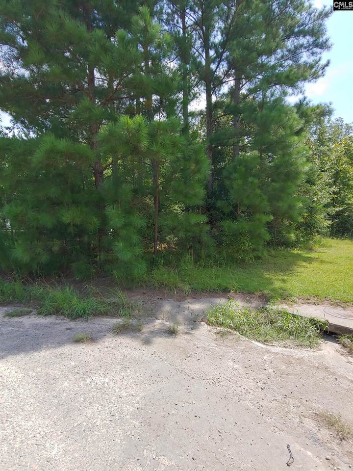 191 Sharon Church Road - Photo 1