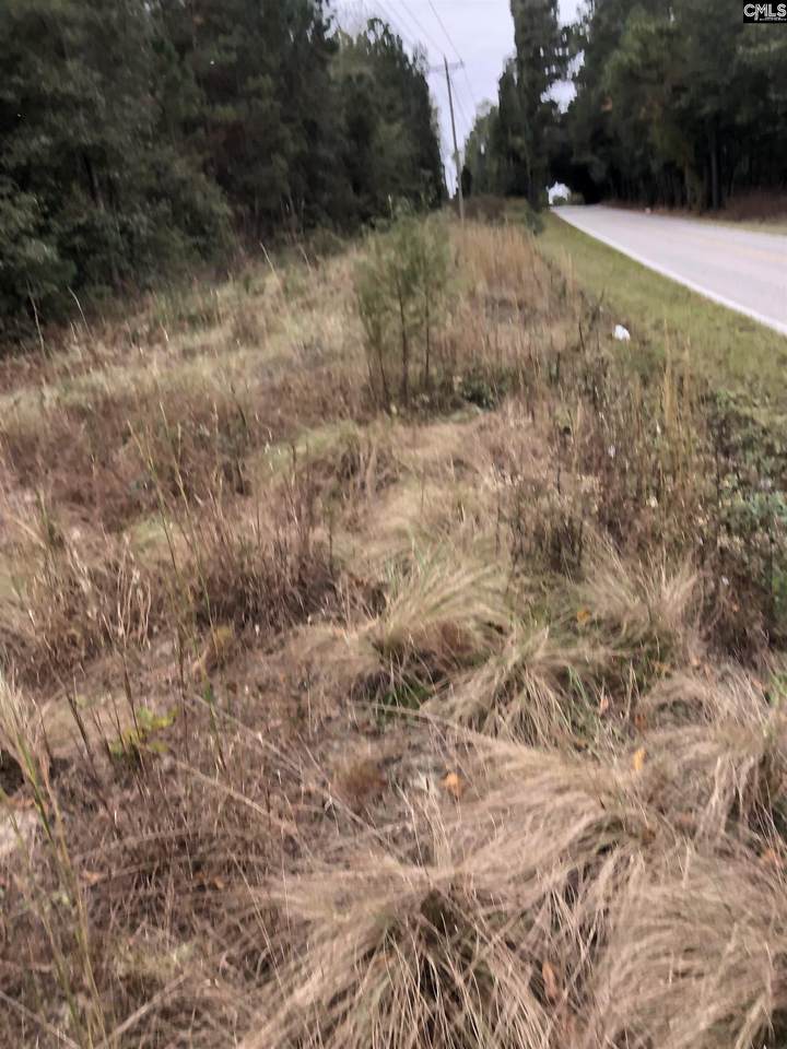 0 Two Notch Road - Photo 1