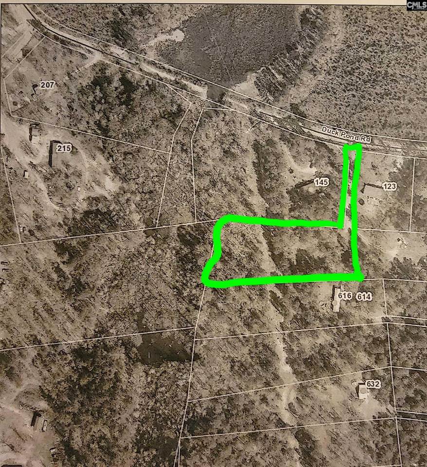 145 Duck Pond Road - Photo 1