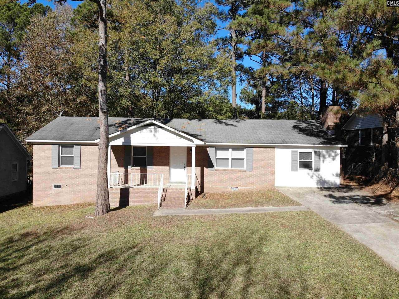 317 Netherland Drive - Photo 1