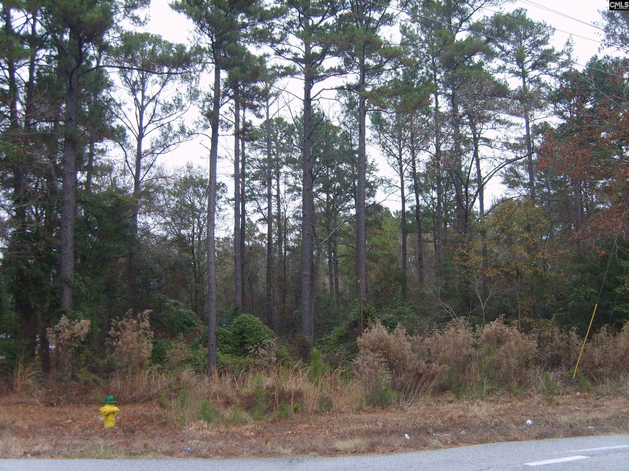 0000 Emanuel Church Road - Photo 1