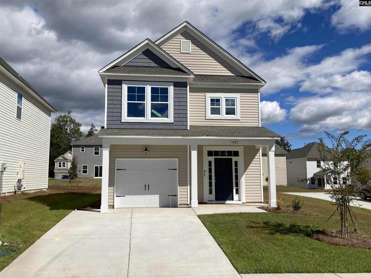 1267 Deep Creek Road - Photo 1