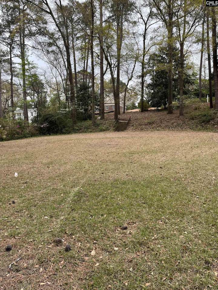 1325 Adger Road - Photo 1
