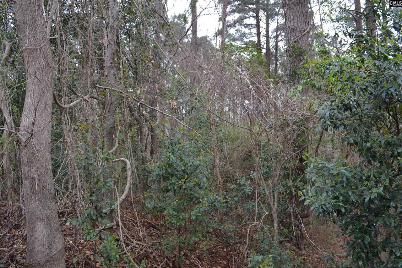 0 Adams Avenue - Photo 1