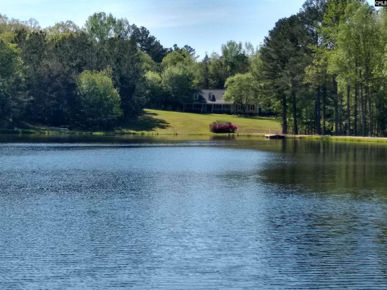 745 Phillipstown Road - Photo 1