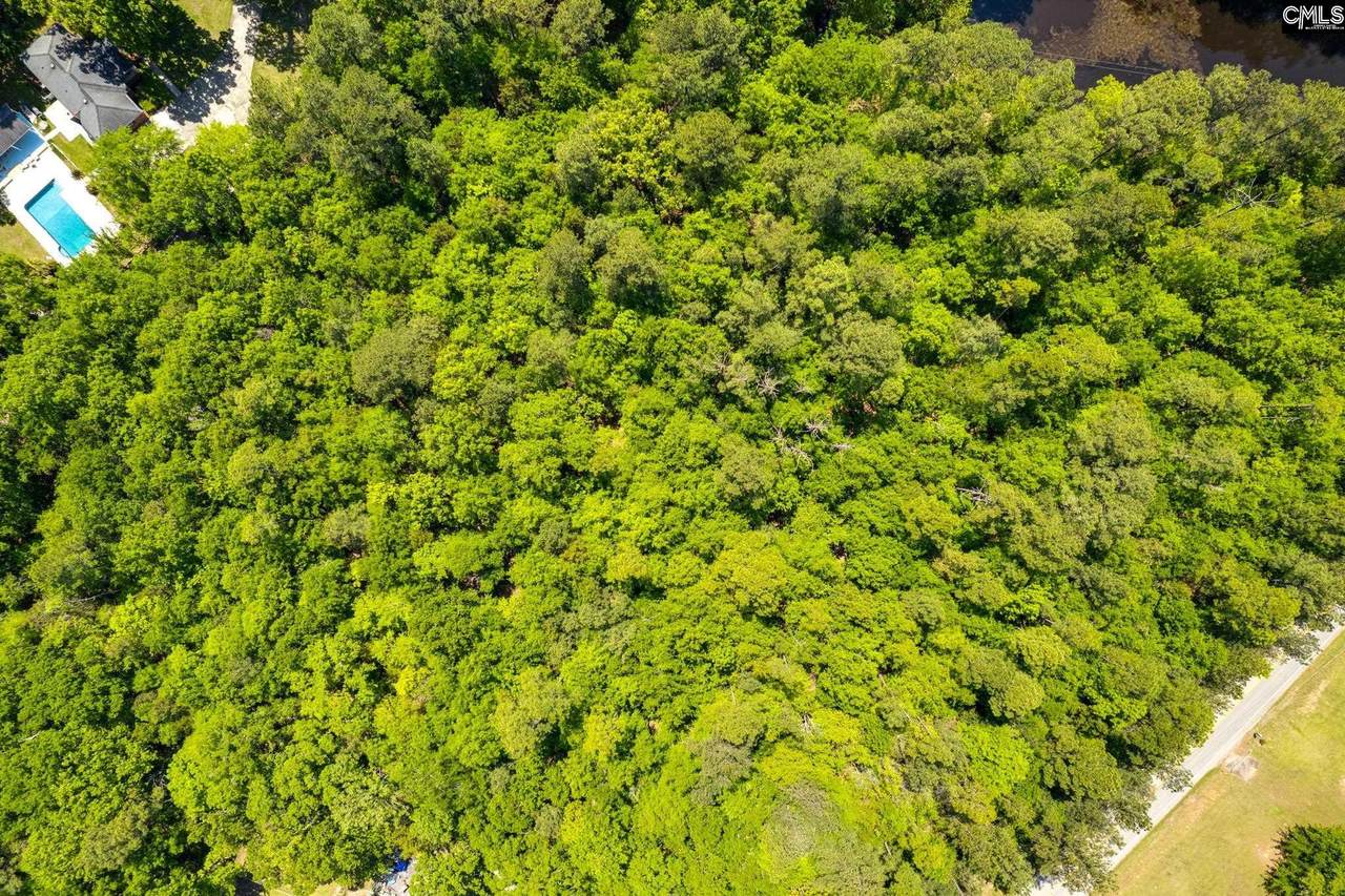 TBD Farming Creek Road - Photo 1