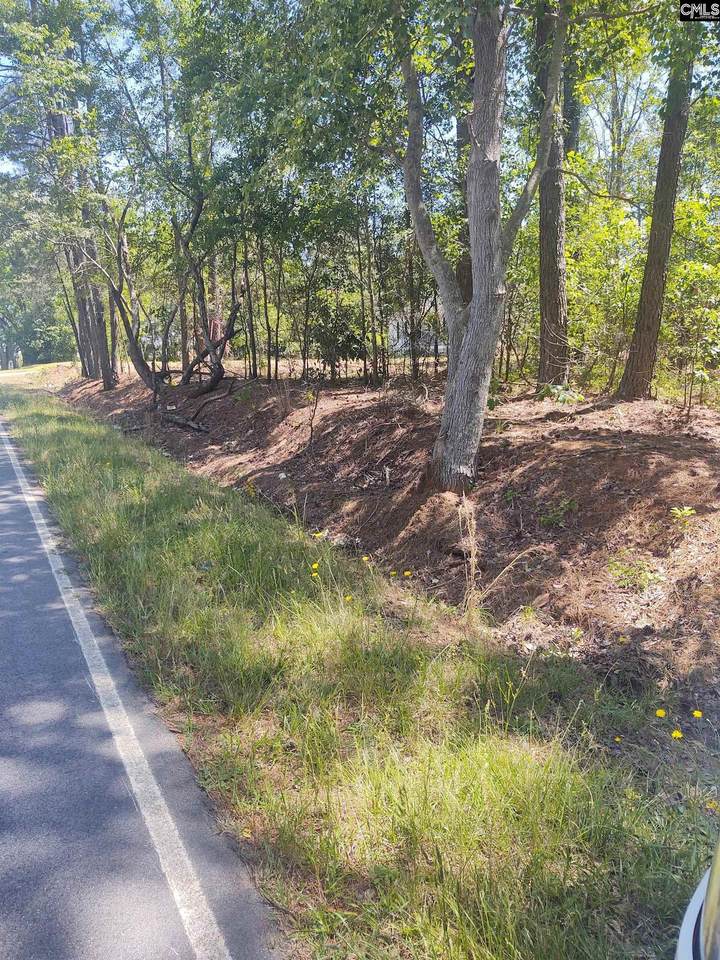 5260 Cotton Acres Road - Photo 1