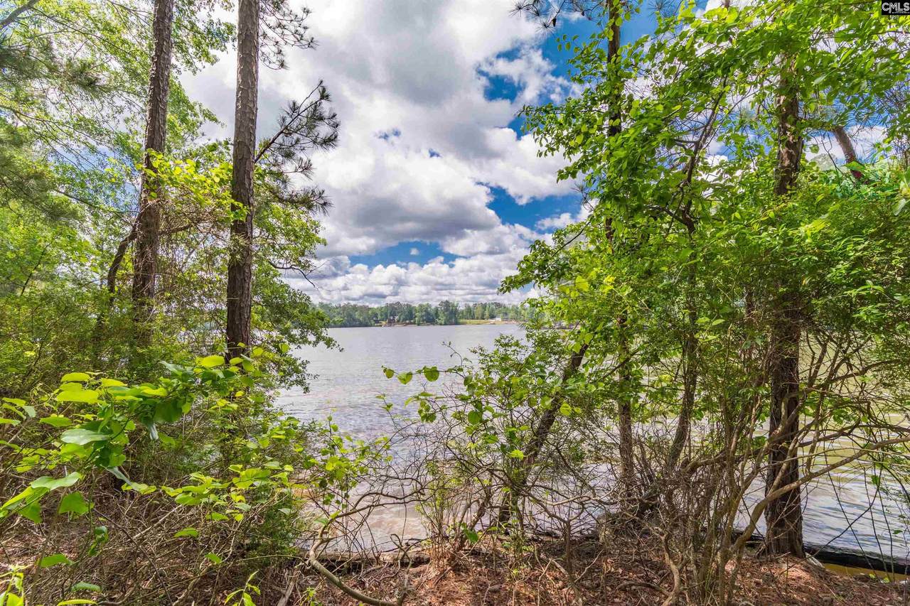 Osprey Pointe Lane - Photo 1