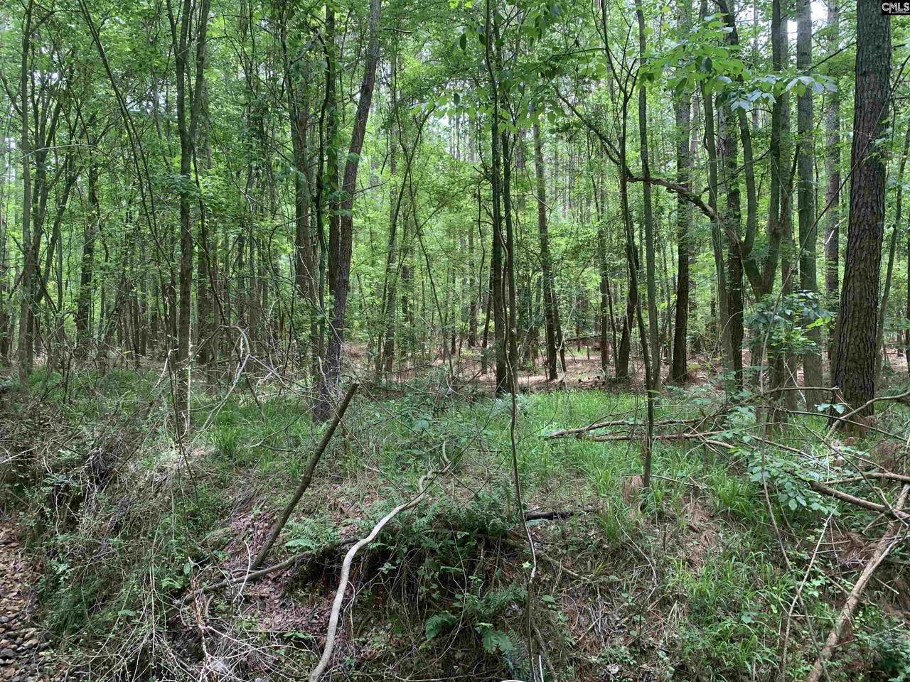 6694 Peach Road - Photo 1