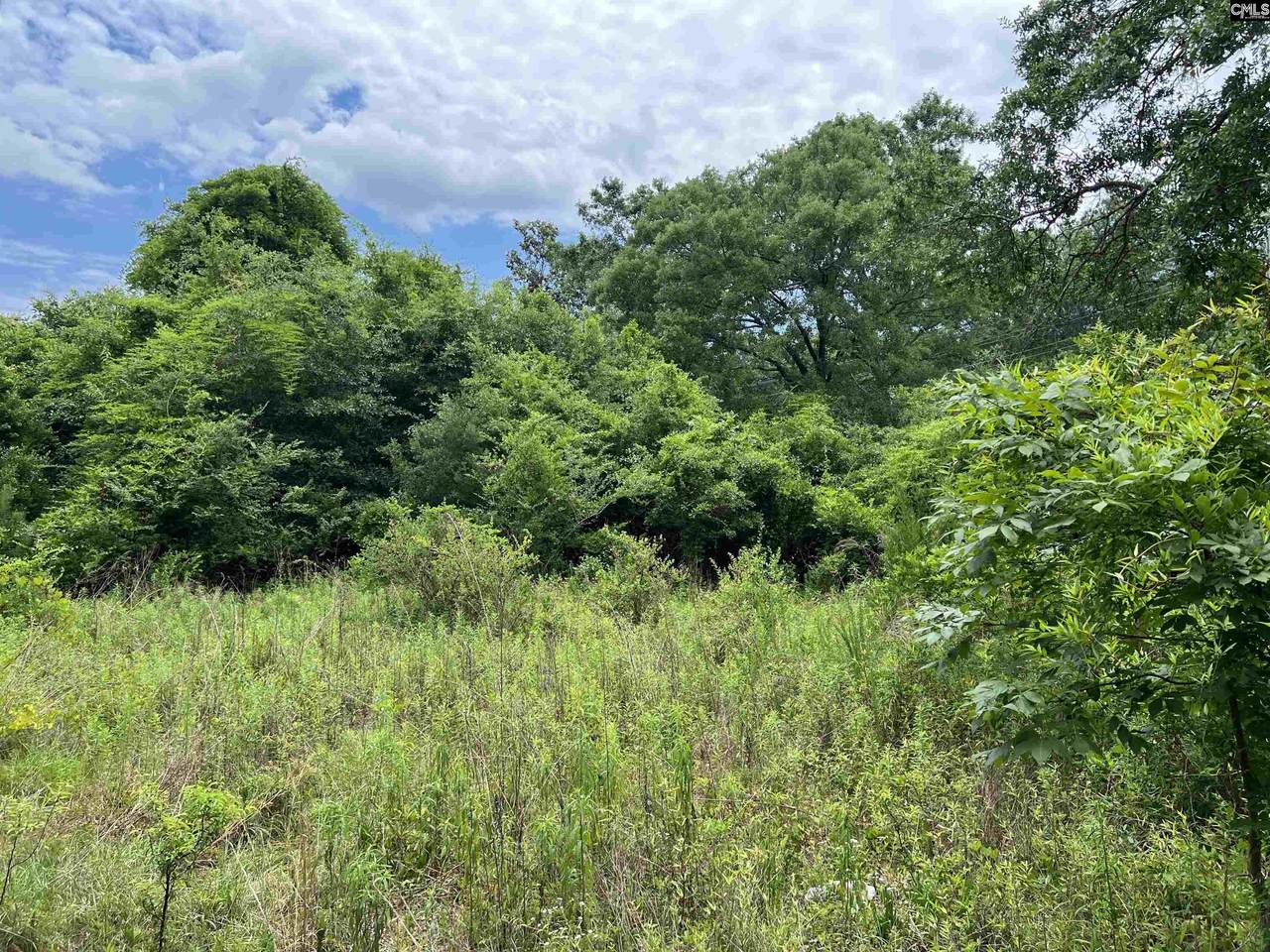 304 Dicey Ford Road - Photo 1