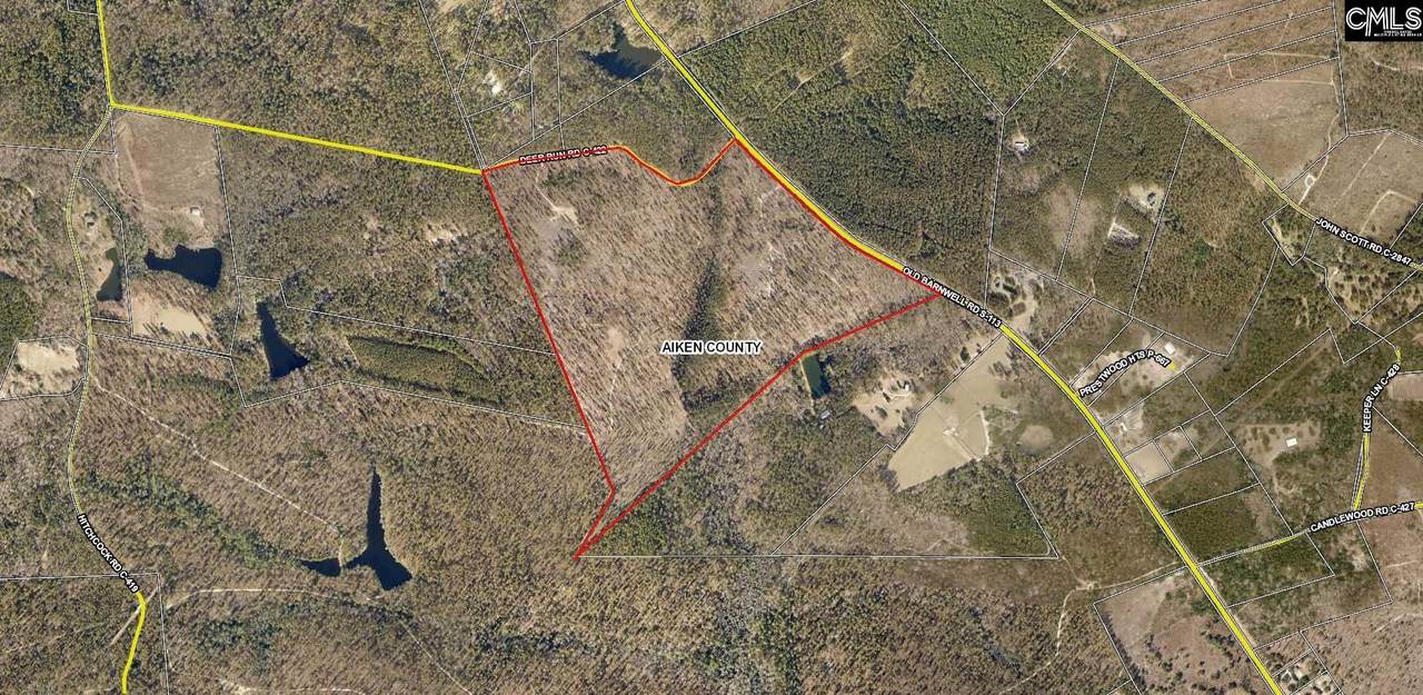 Parcel G Deer Run Road - Photo 1