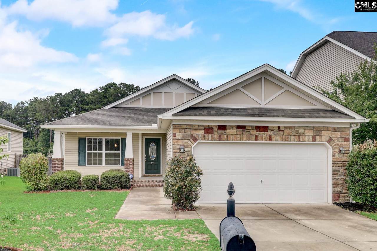 151 Emanuel Creek Drive - Photo 1